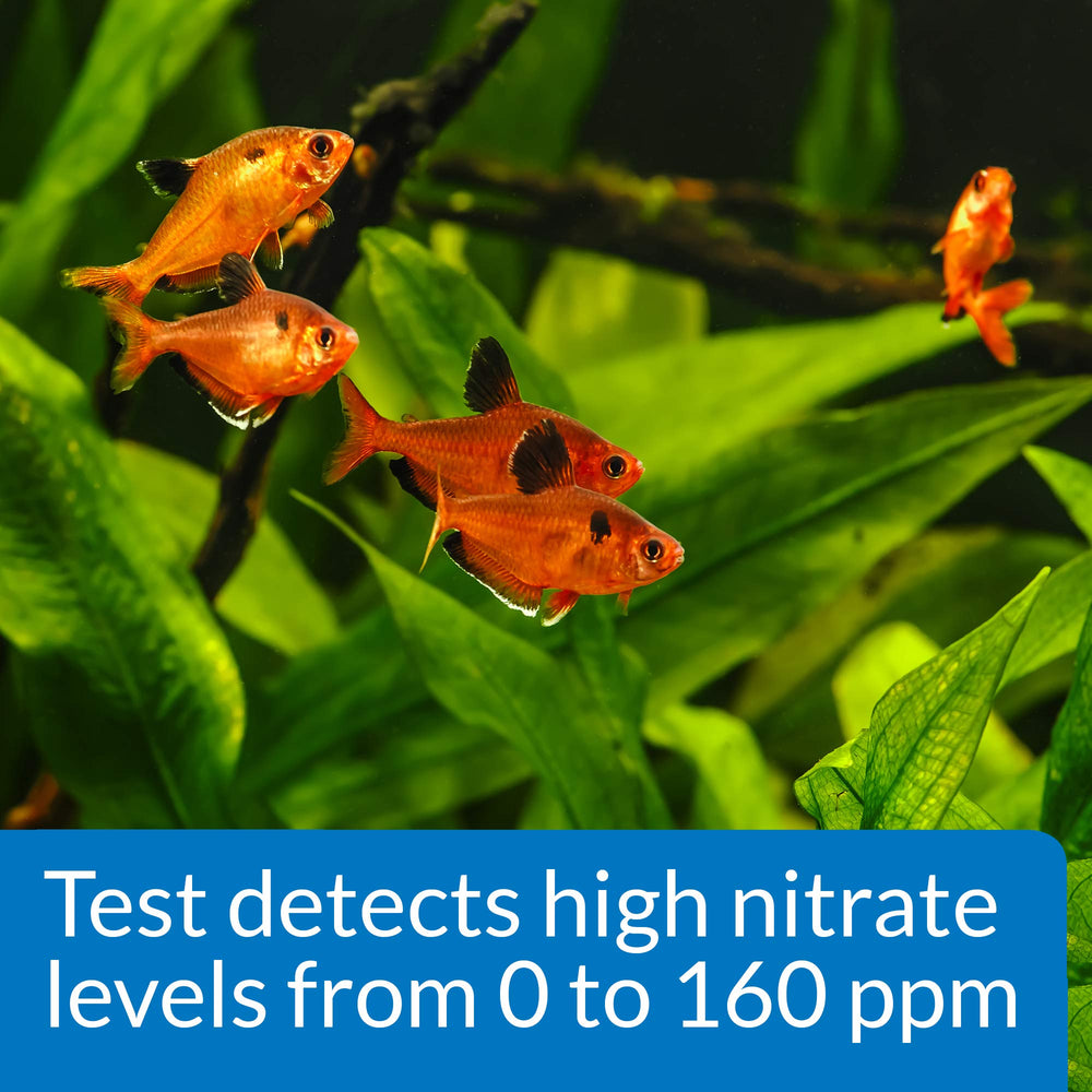 API NITRATE 90-Test : étui pratique pour rangement et déplacement