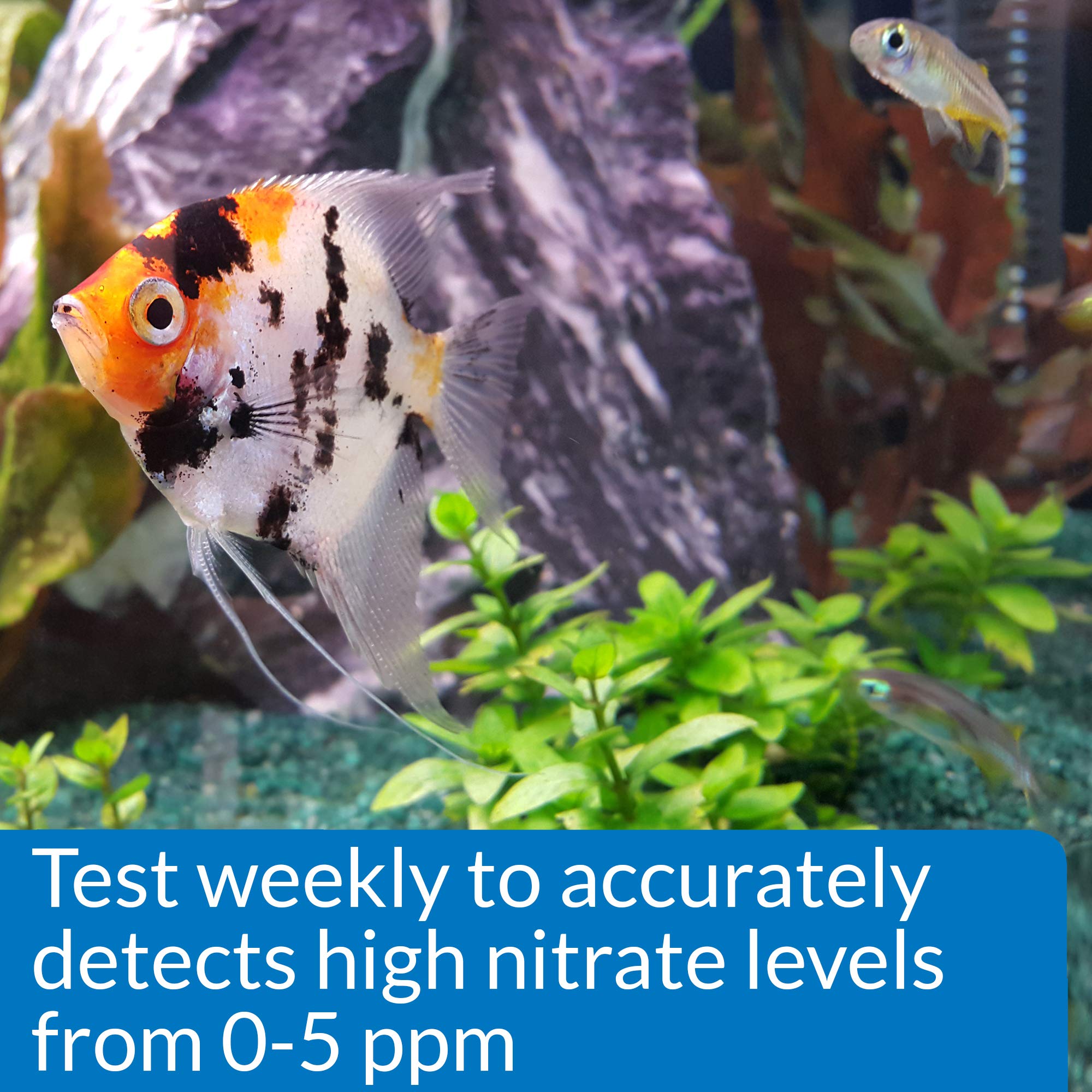 API nitrite — Emballage compact pour le rangement et le transport.