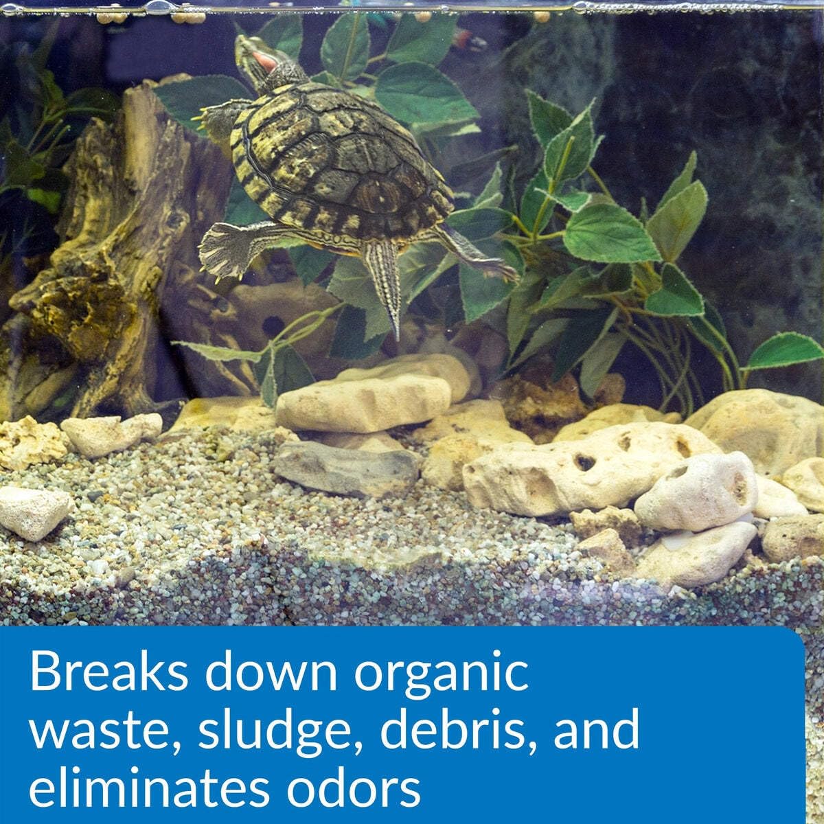Odeurs réduites dans l’aquarium grâce au traitement API.