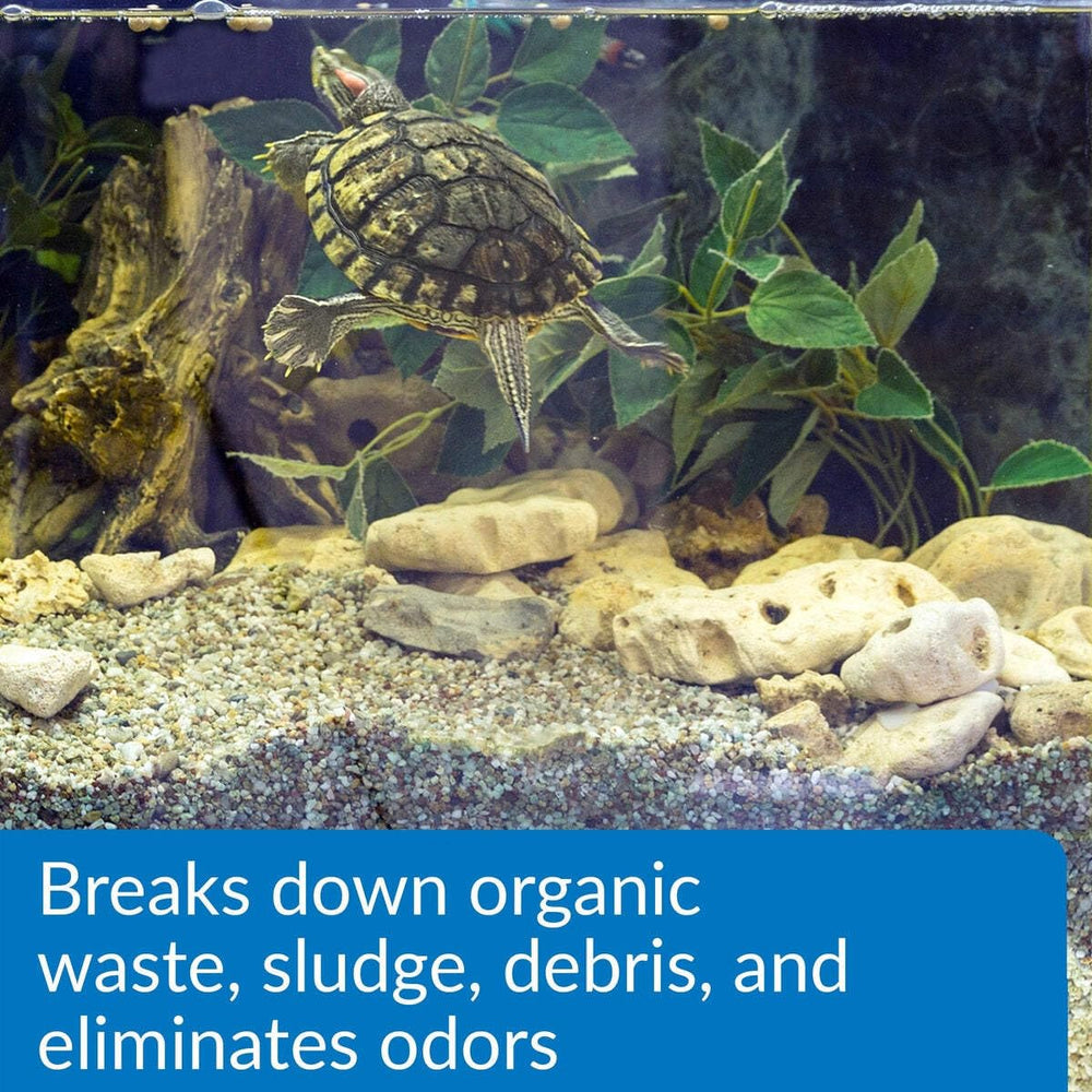 Odeurs réduites dans l’aquarium grâce au traitement API.