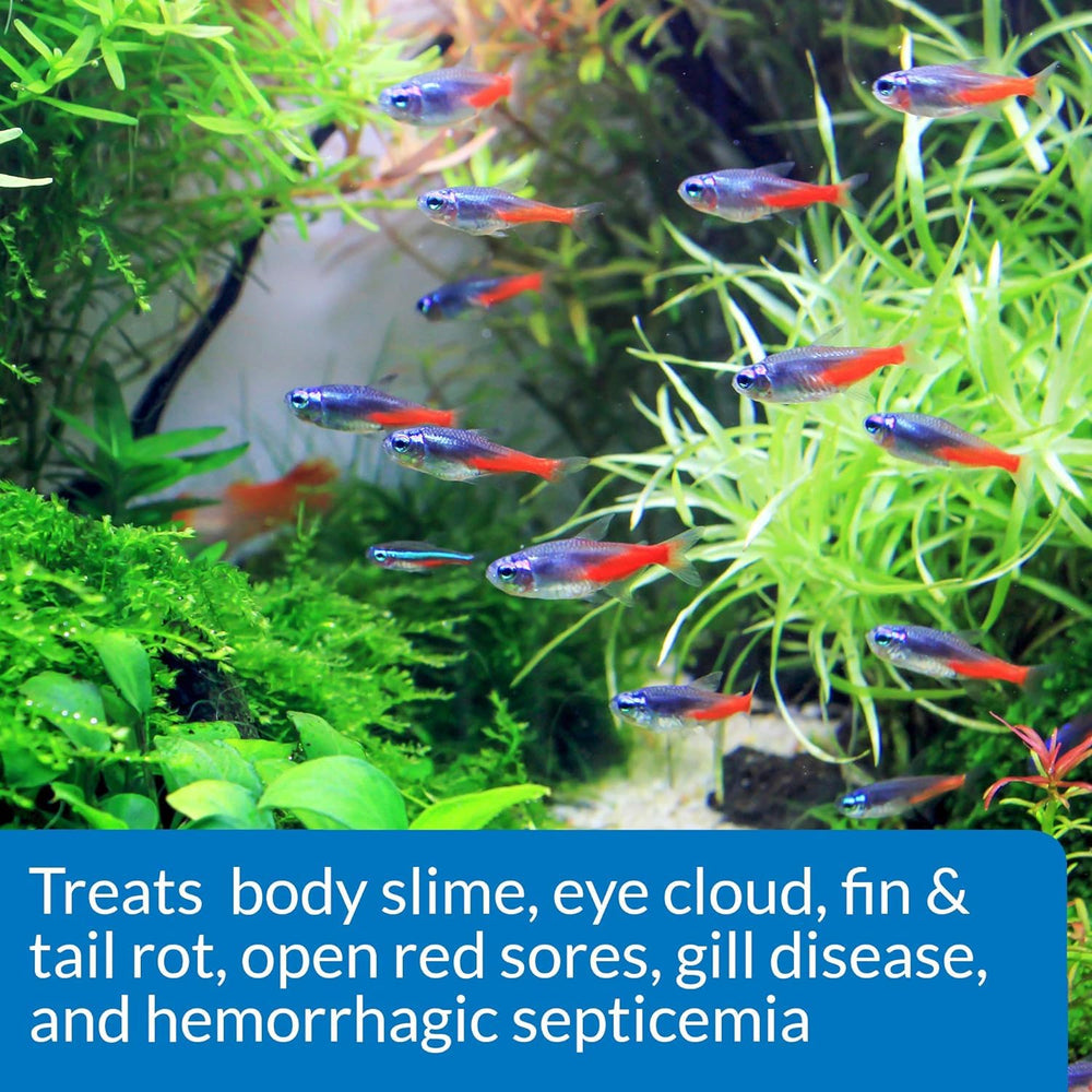 API Fin et Body Cure, compatible avec les aquariums d eau douce