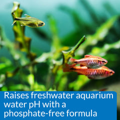 API pH Up – augmentation progressive du pH sans phosphate.