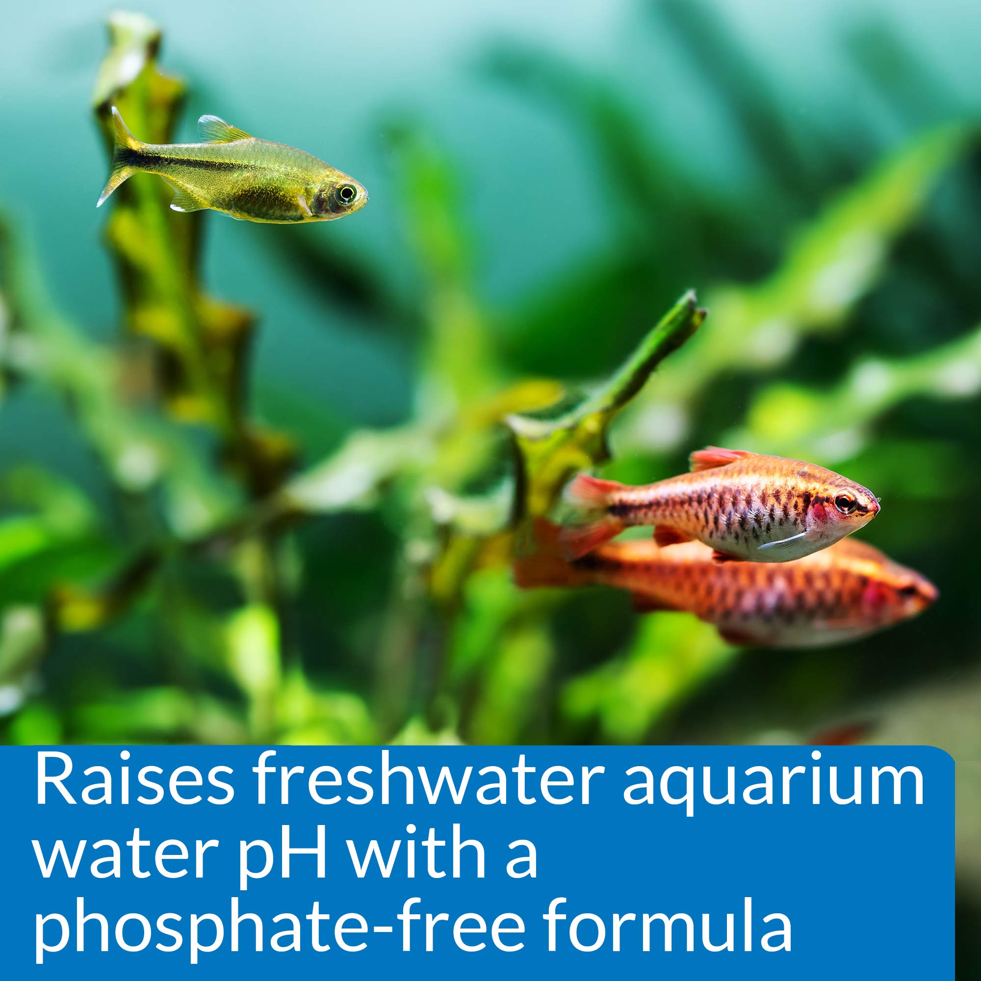 API pH Up – formule sans phosphate, respectueuse des plantes et des poissons.