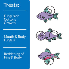 API Pimafix extrait-laurier-des-indes, extrait naturel pour infections chez poissons.