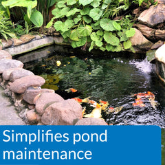 API POND ECOFIX clarifiant l’eau du bassin pour une eau plus limpide