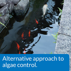 API PONDCARE inhibe biologiquement les algues vertes pour une eau plus pure.