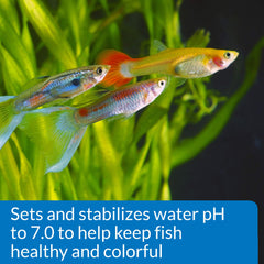 API Proper pH 7.0 – détoxication des métaux lourds possibles dans l'eau.