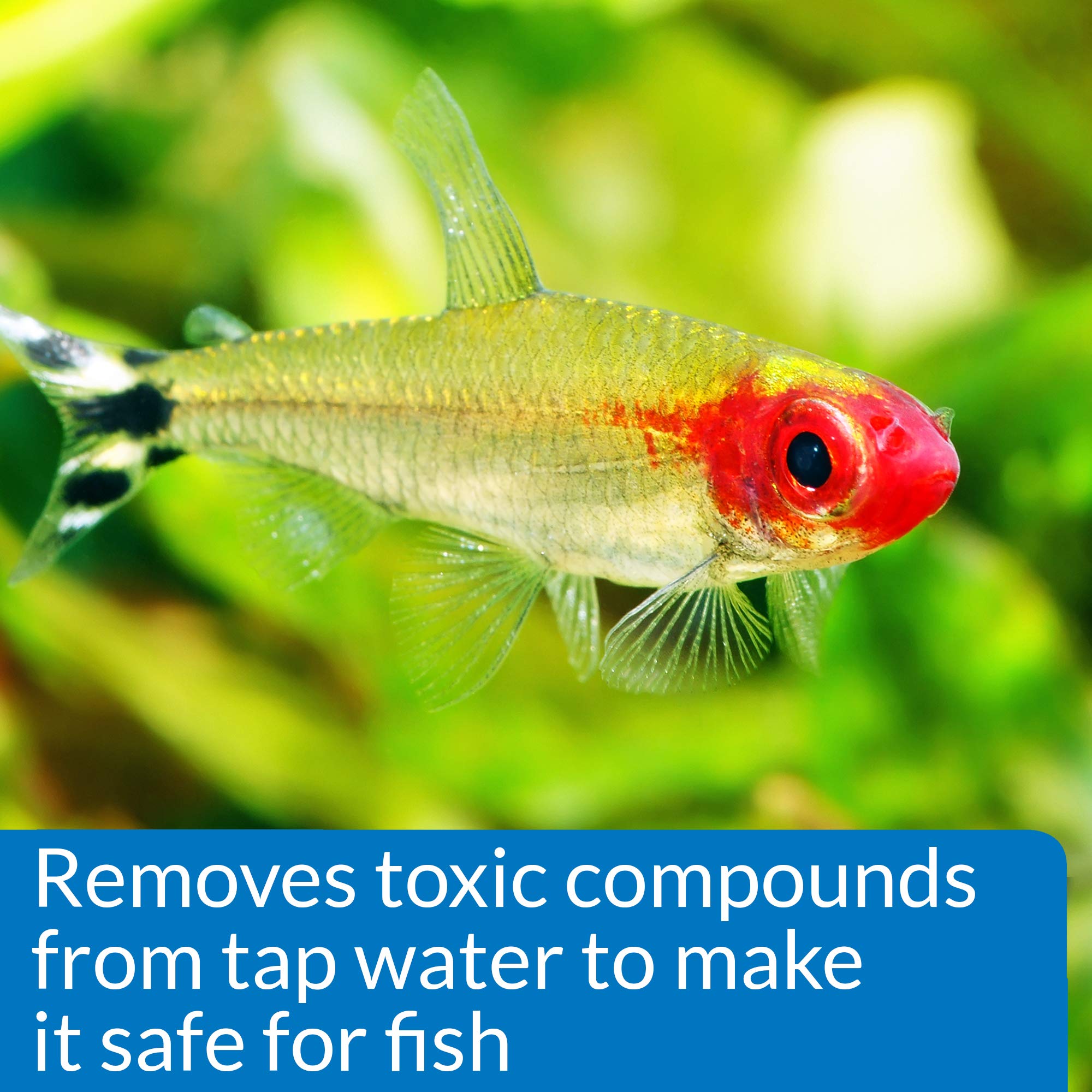 API Proper pH 7.0 – ajout d'électrolytes pour le bien-être des poissons.