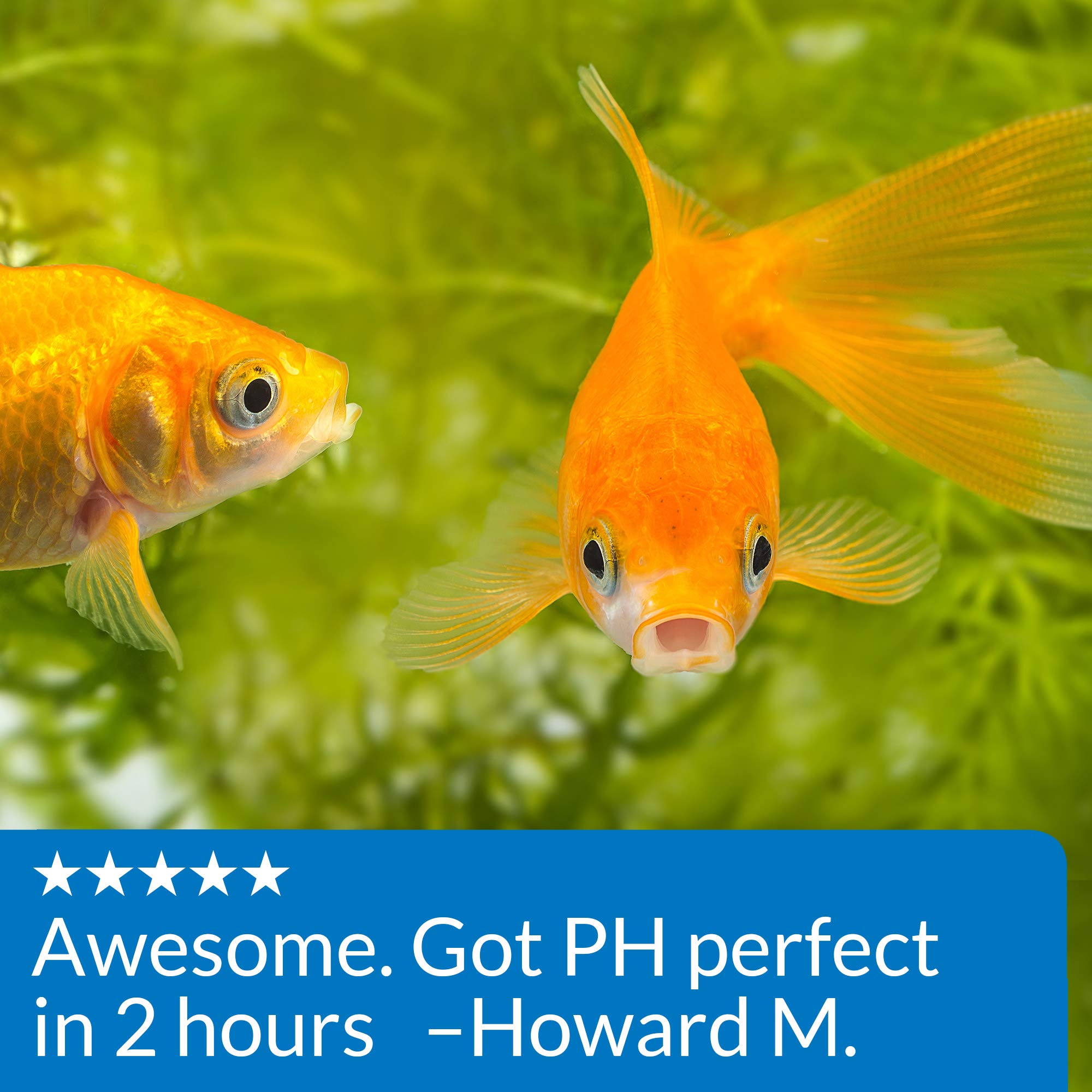 API Proper pH 7,5 – nouvel aquarium configuré pour un pH stable.