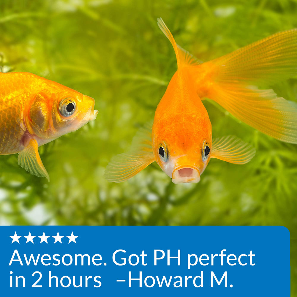 API Proper pH 7,5 – nouvel aquarium configuré pour un pH stable.