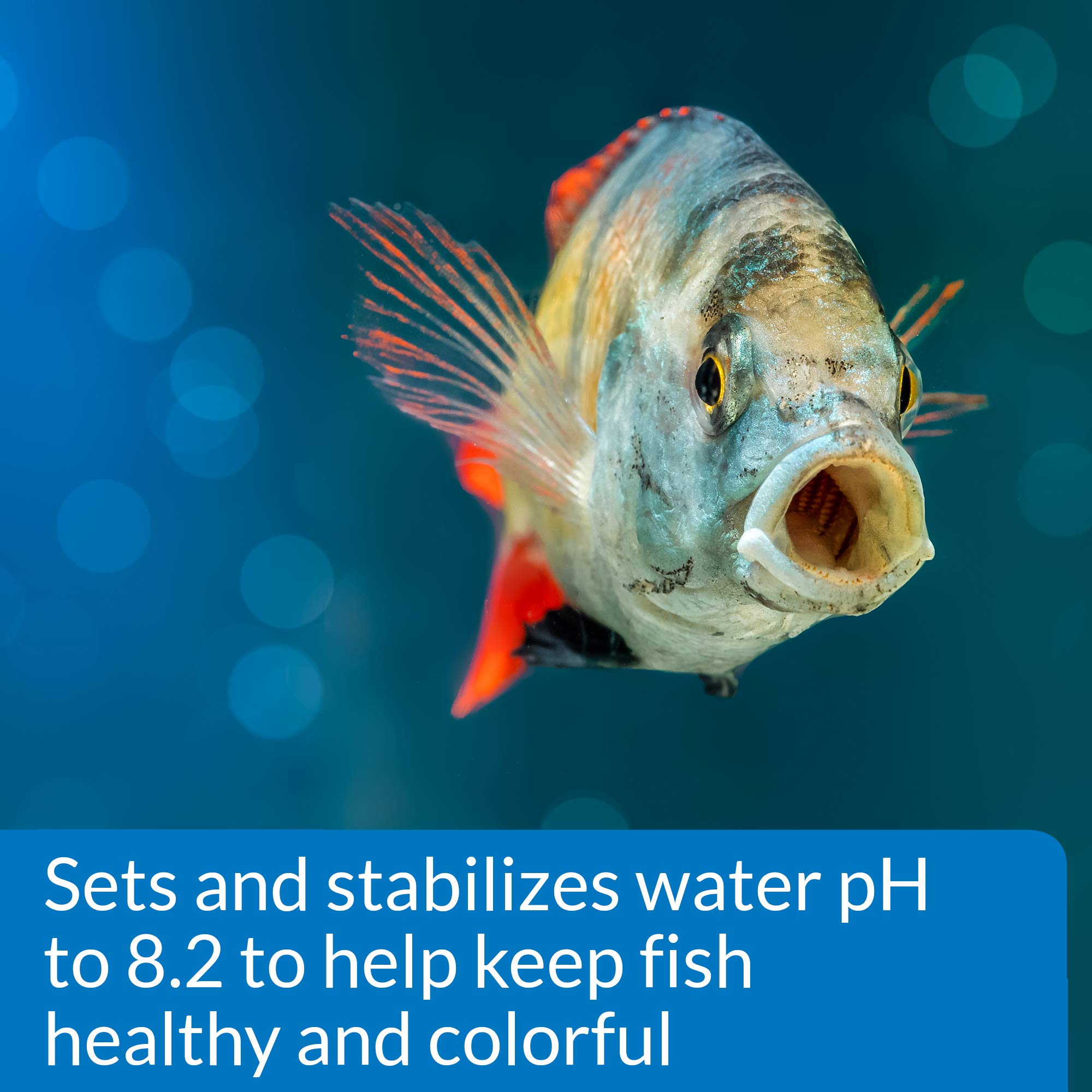 API PROPER pH 8.2 — Ajout lors du démarrage d’un nouvel aquarium, pratique.