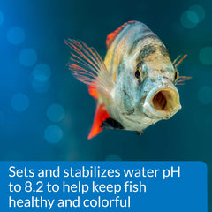 API PROPER pH 8.2 — Ajout lors du démarrage d’un nouvel aquarium, pratique.