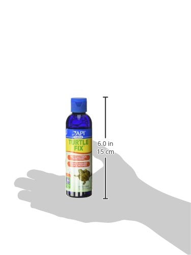 Conseils d’entretien avec API pour vivarium et filtration