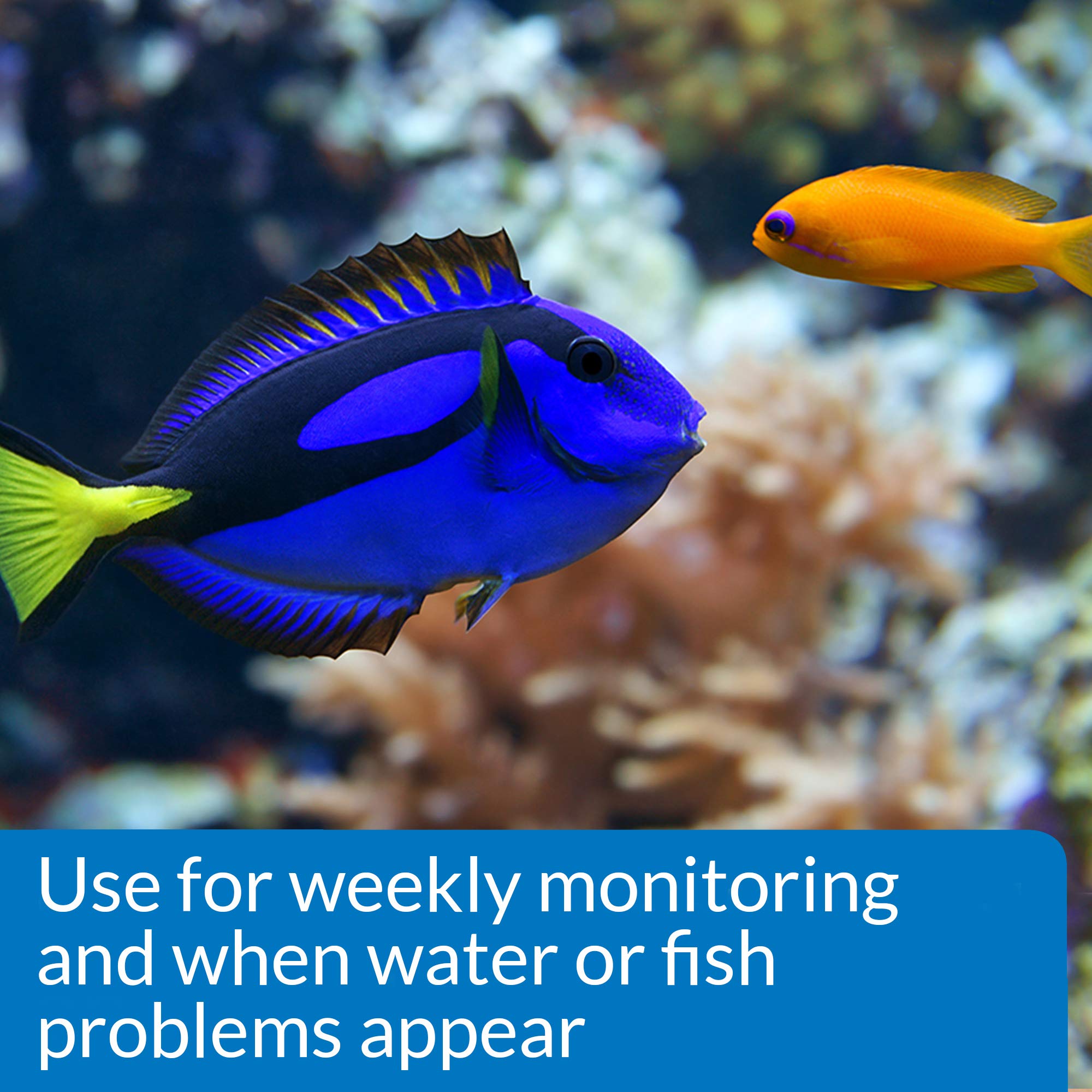 API Saltwater Master Test Kit – plateau de rangement pratique.
