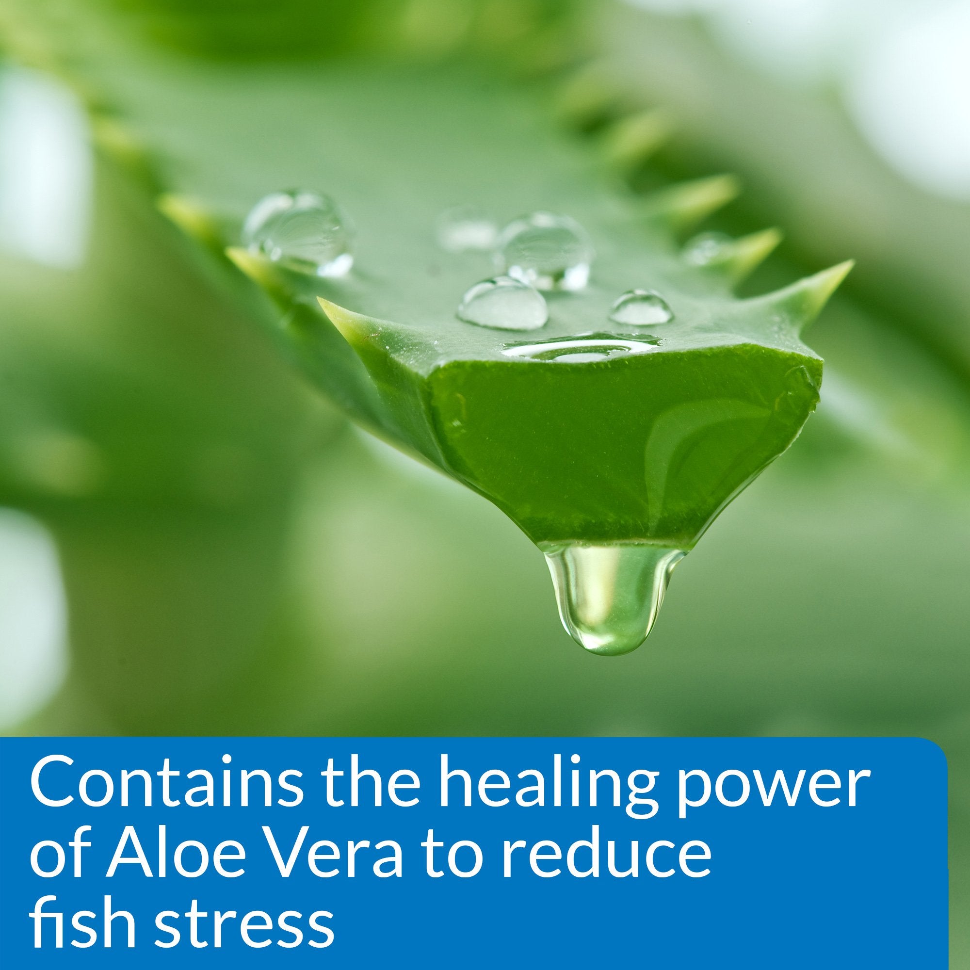API Stress Coat — utilisation lors d'un changement d'eau pour une transition en douceur.
