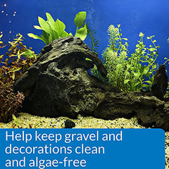 Verre d'aquarium plus clair grâce à API STRESS ZYME et son action douce.