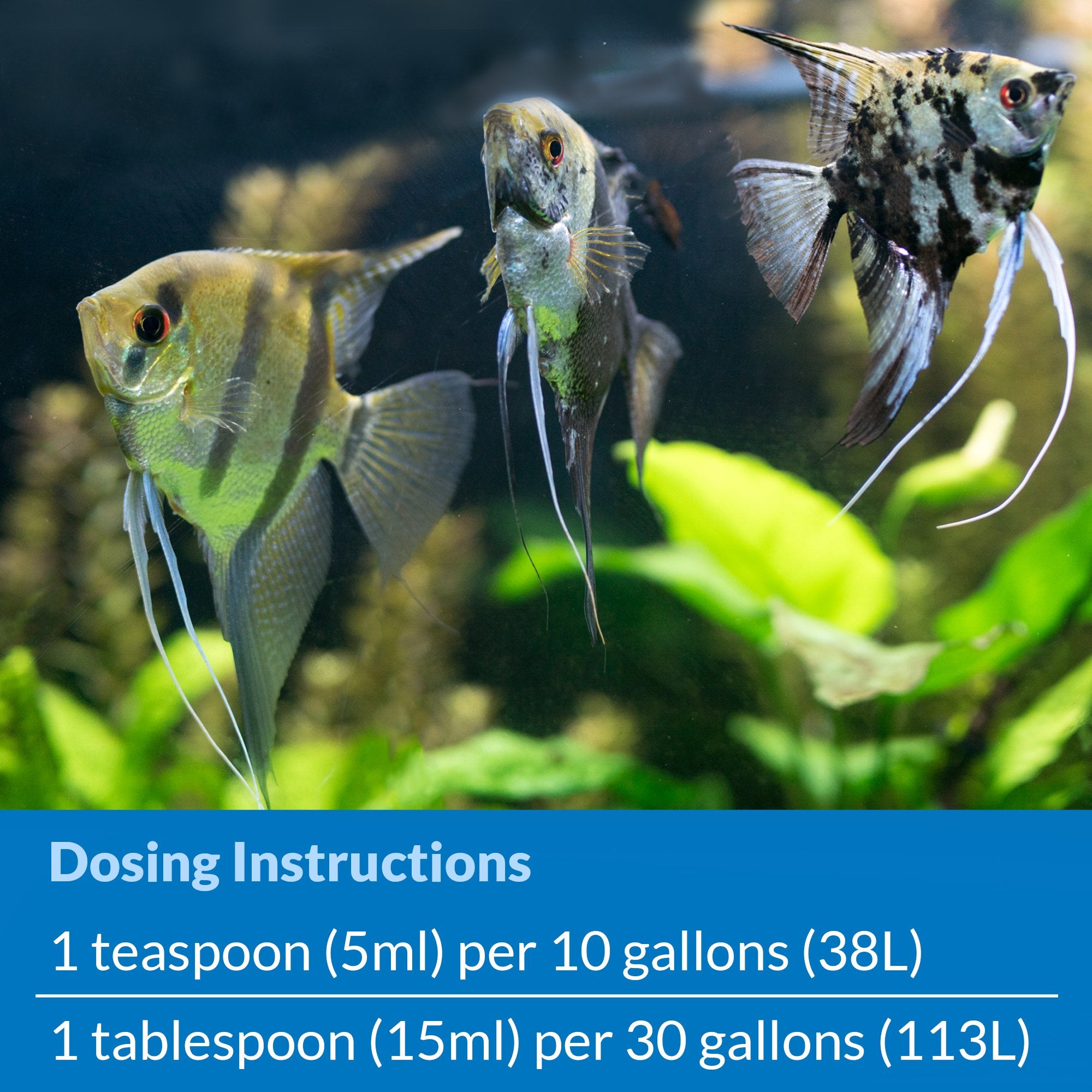 API Stress Zyme soutient un système de biofiltre sain dans l’aquarium.