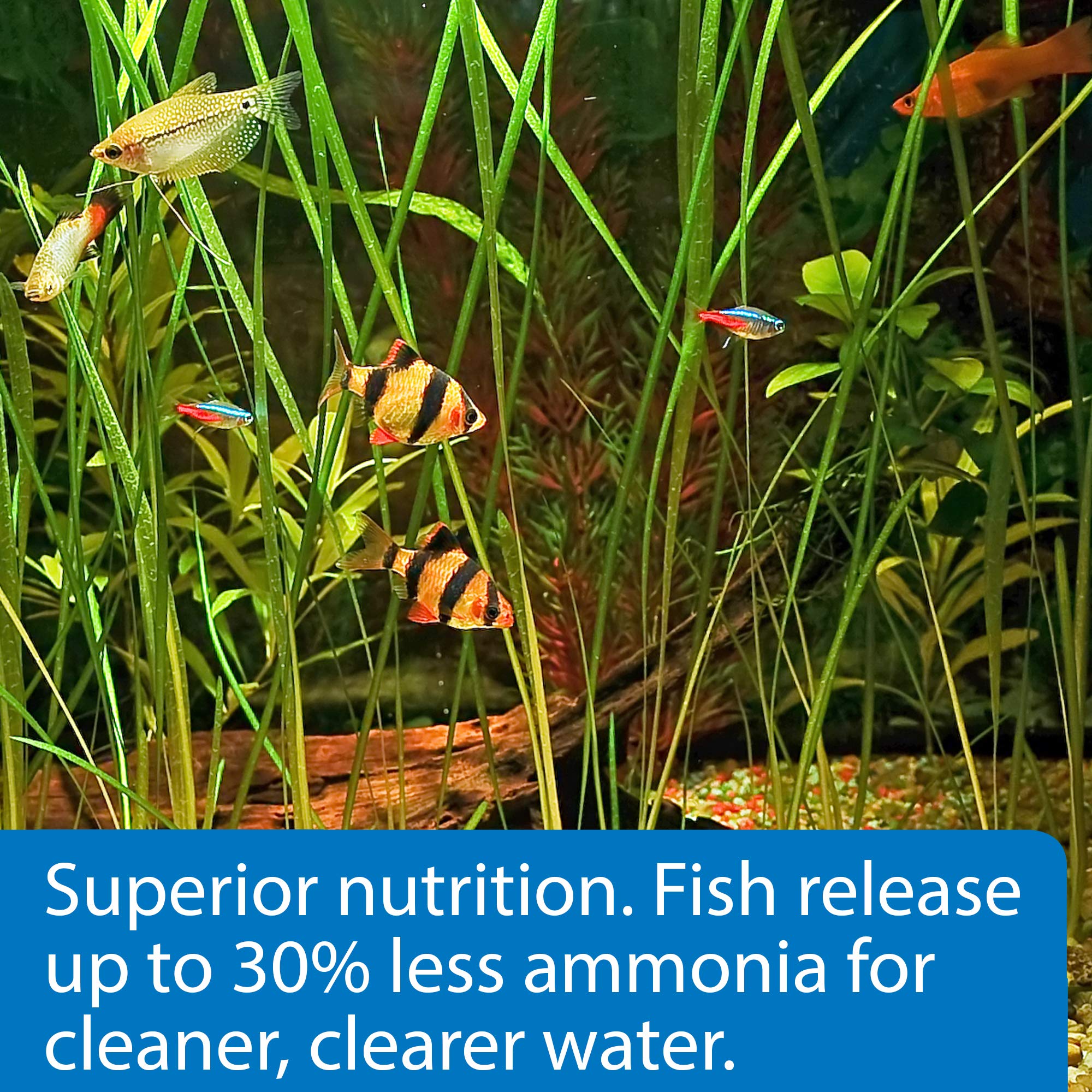 API Tropical Pellets alimentation quotidienne : rations simples pour poissons tropicaux.