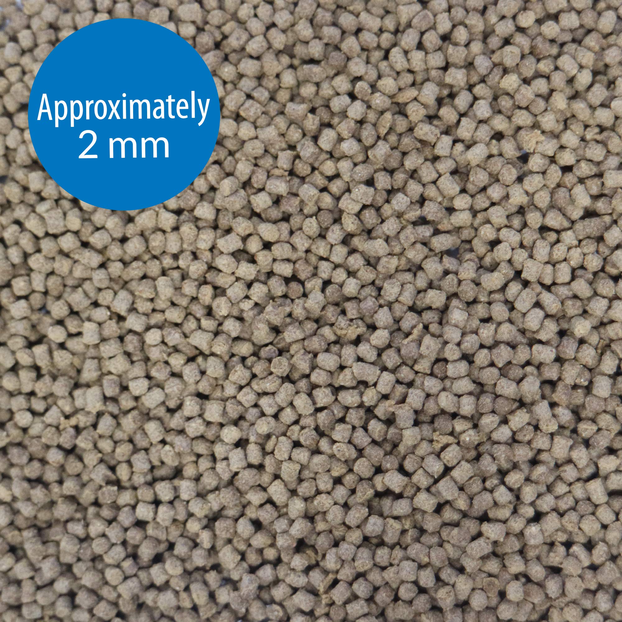 API Tropical Pellets protéines haut niveau : favorise digestion efficace et moins de déchets.