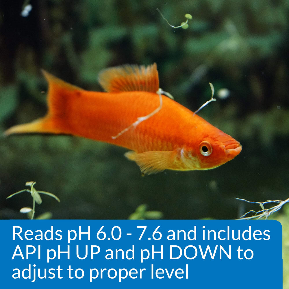 Utilisation hebdomadaire API – surveillance du pH pour l'aquarium