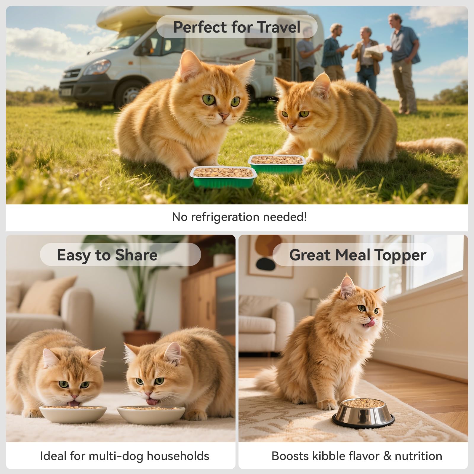 Nourriture chat APL lyophilisée, morceaux foie poulet, texture agréable