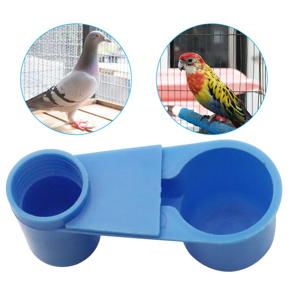 Système d'abreuvoir APlayfulBee pour pigeons et oiseaux.