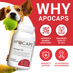 Capsules faciles à doser sans casser pour chiens Apocaps CX