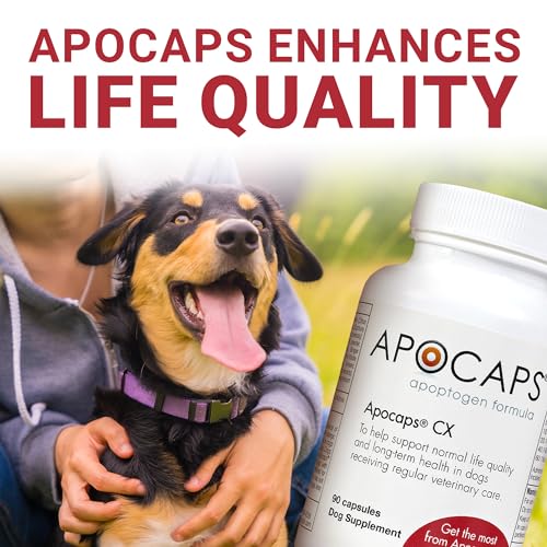 Idéal pour les propriétaires soucieux de la routine canine