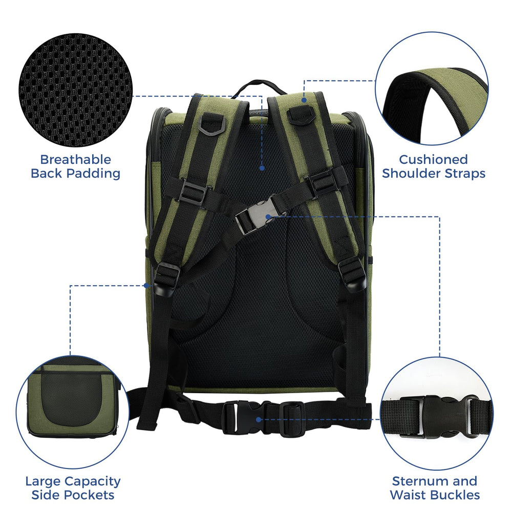 Apollo Walker attache-laisse intérieur pour sécurité lors du transport