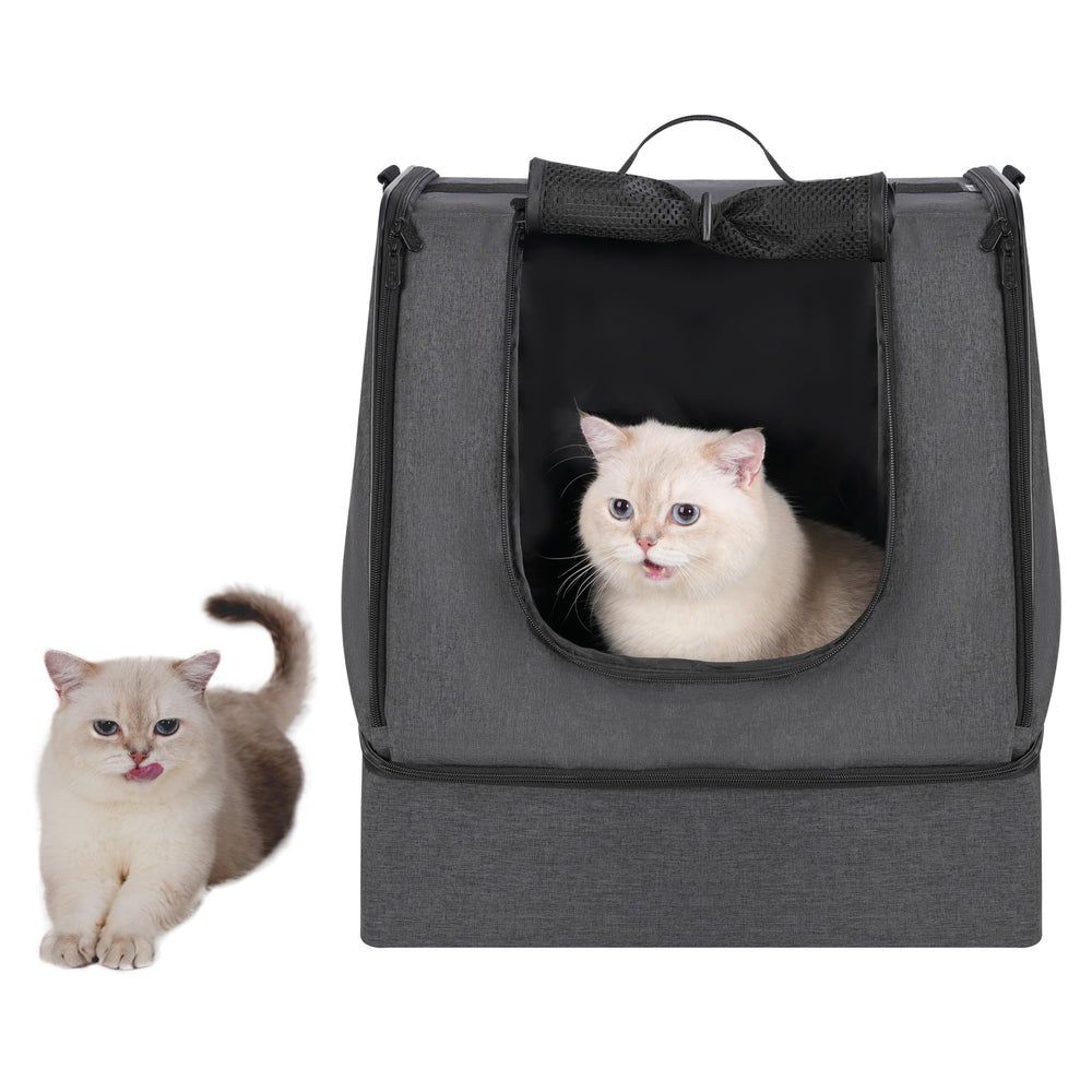 Apollo Walker pelle petite et bol pliant, accessoires pratiques en voyage.