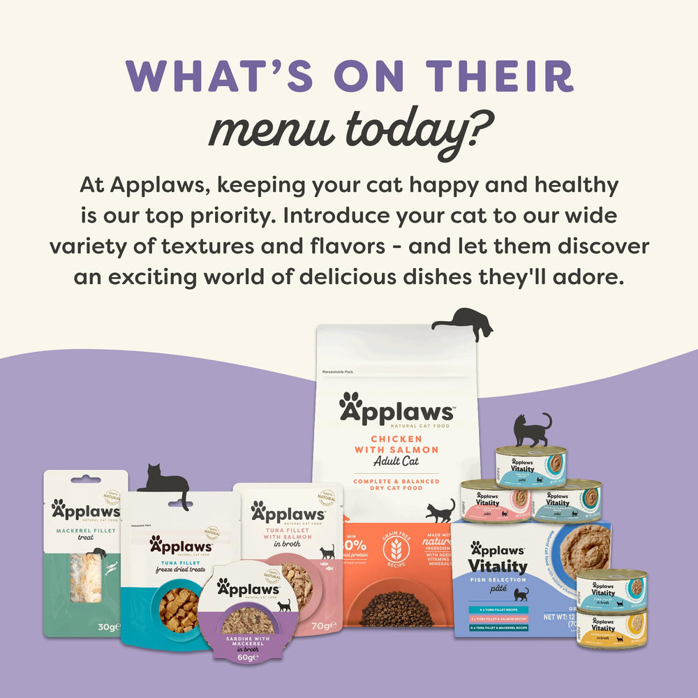 Applaws Vitality Bouillon Chat – hydratation naturelle à chaque bouchée.