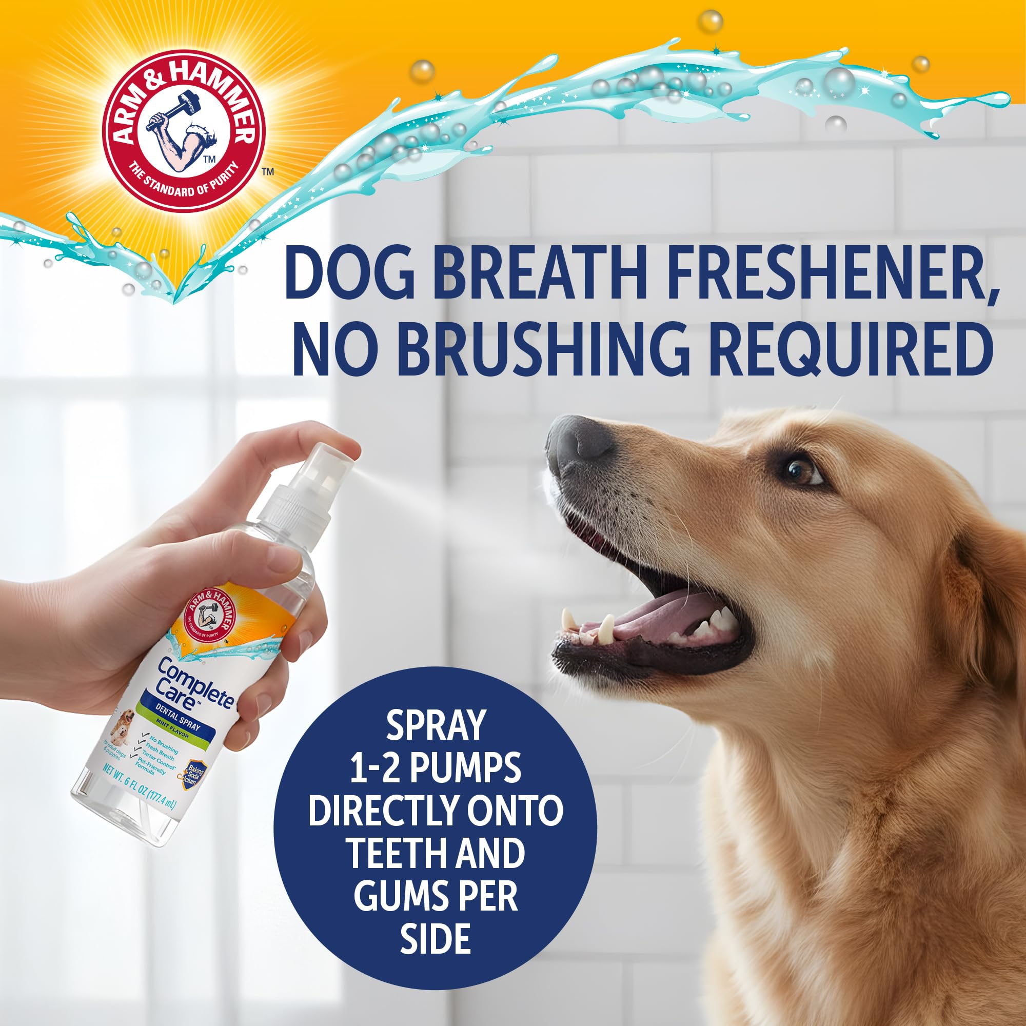 Application du spray dentaire chien menthe Arm & Hammer sur dents et gencives
