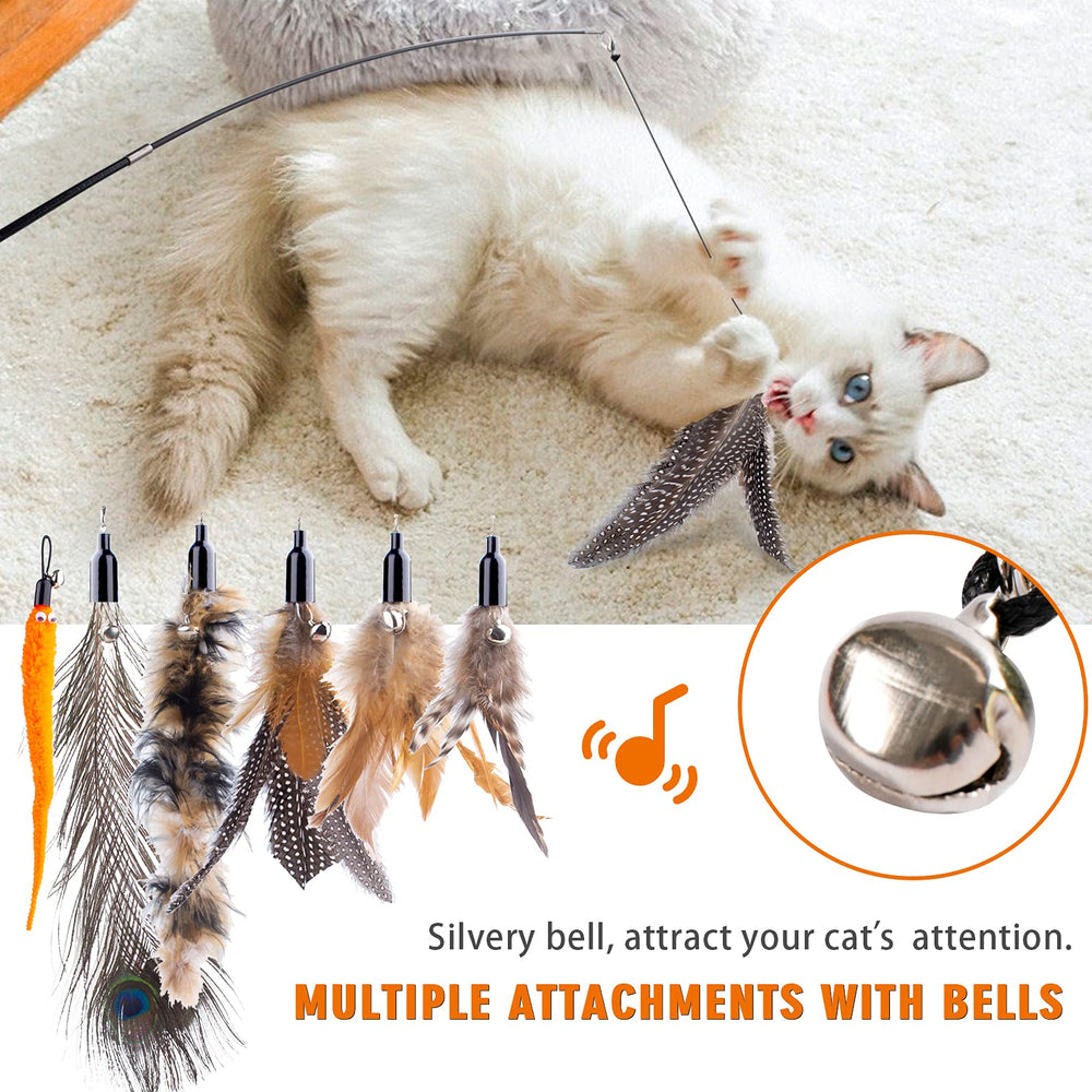 APSUAE grande plume, distraction naturelle pour chats