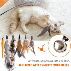 APSUAE grande plume, distraction naturelle pour chats