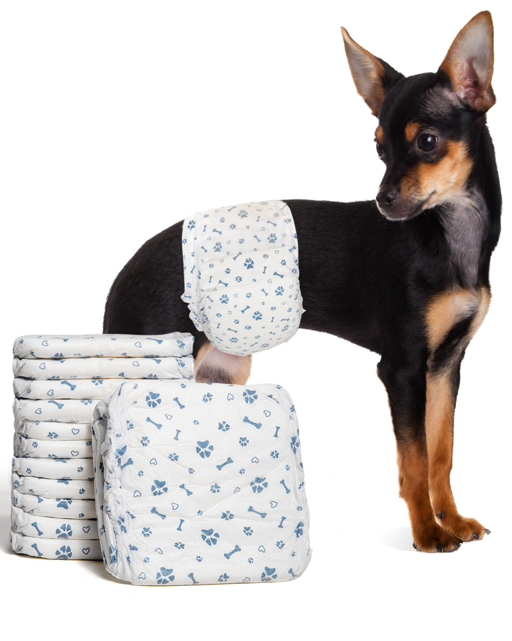 Couches Apupmeo chien mâle design discret: confort longue durée pour toute la journée.
