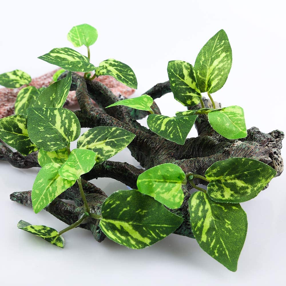 AQUA KT Accessoire-terarium stimulant la curiosité des reptiles.