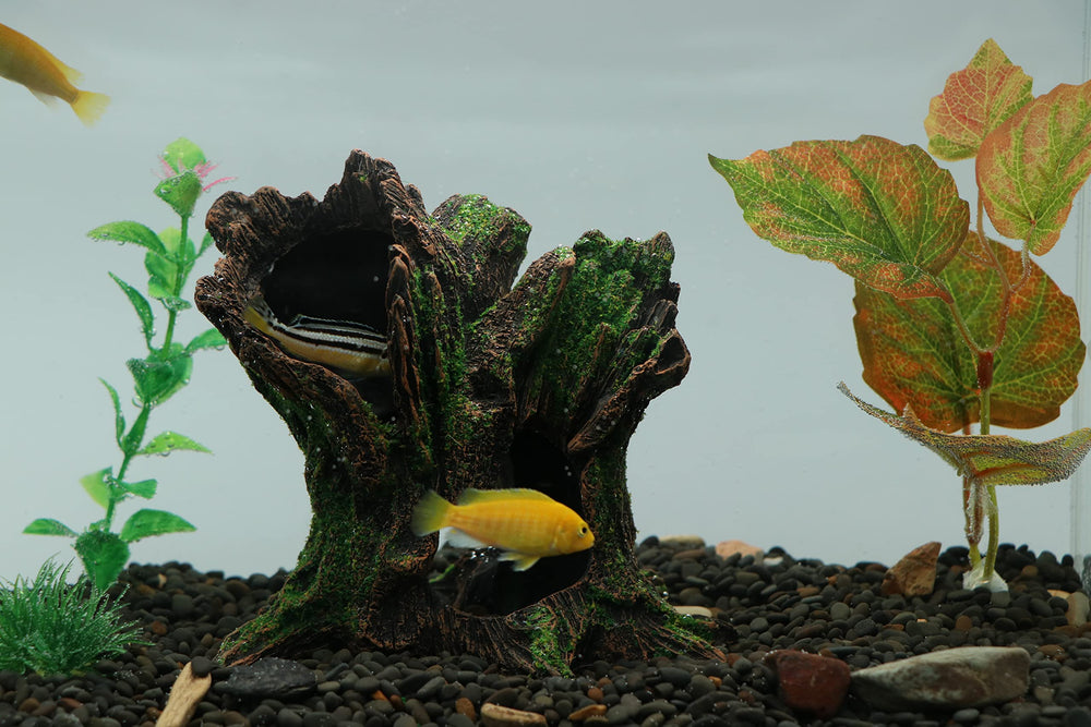 AQUA KT arbre-decor-tank-habitat-naturel ajoute profondeur visuelle au décor.