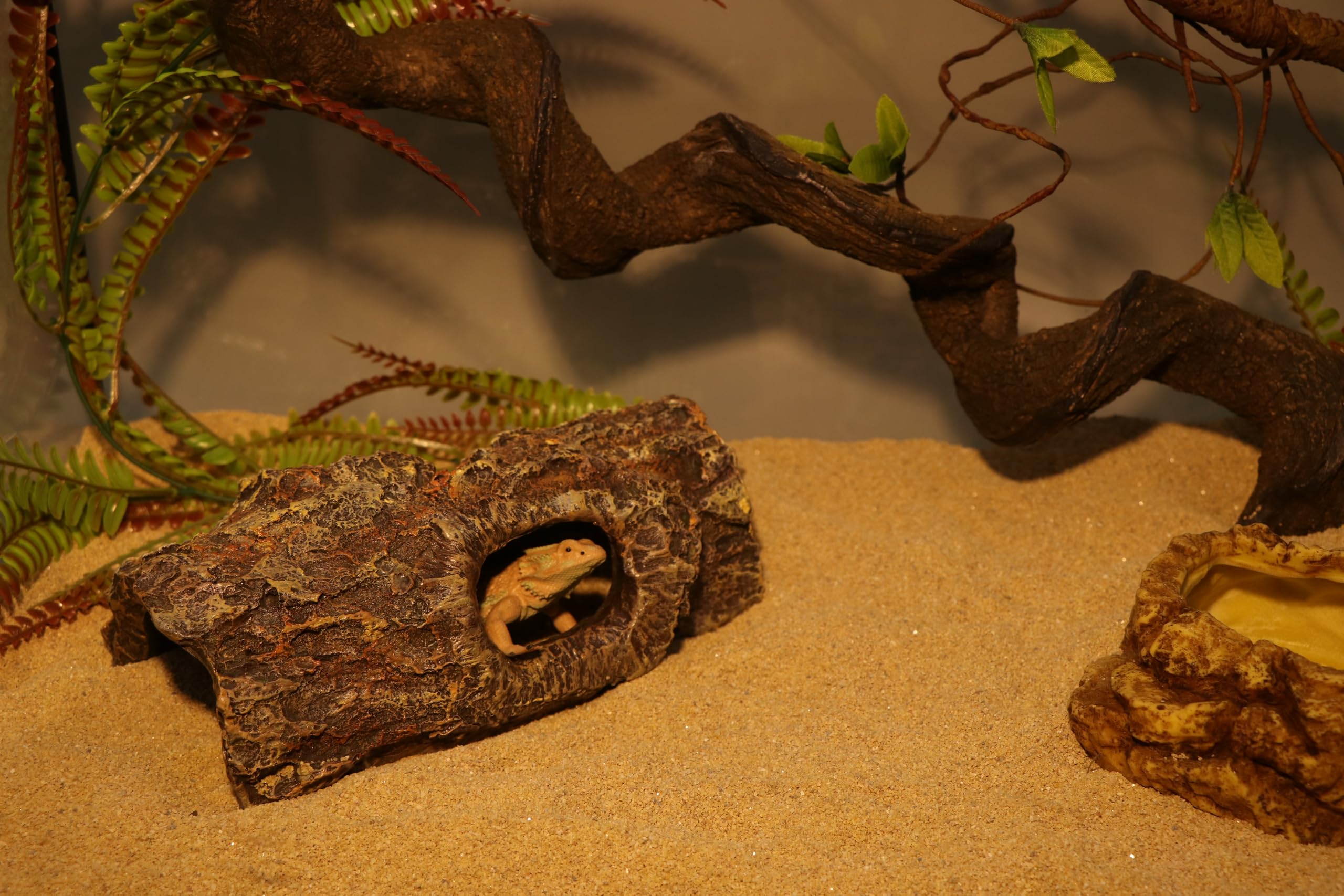 AQUA KT cache-arbre-creux terrarium: ajout décoratif discret et fonctionnel.