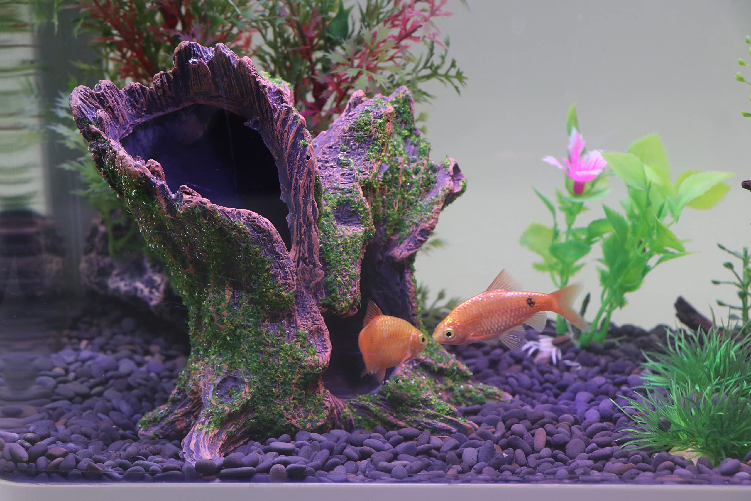 AQUA KT ecosysteme-aquarium-tronc ajoute élégance et nature au bac.