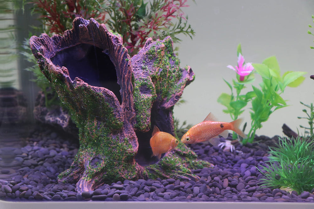 AQUA KT ecosysteme-aquarium-tronc ajoute élégance et nature au bac.
