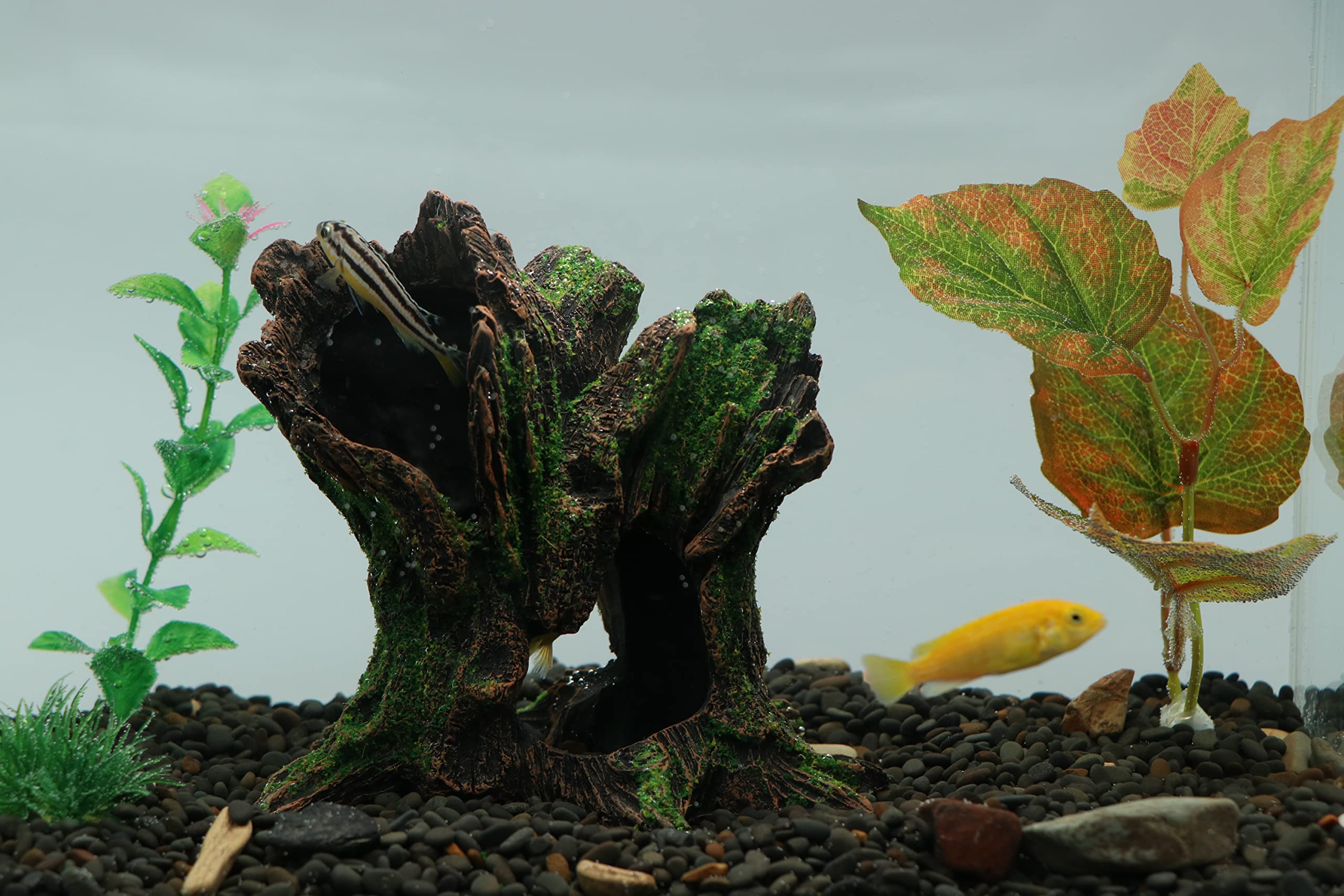 AQUA KT petit-habitat-poisson-decor structure durable et facile d'entretien.
