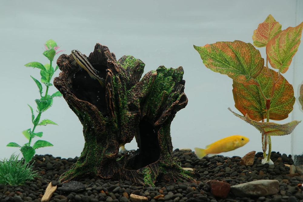 AQUA KT petit-habitat-poisson-decor structure durable et facile d'entretien.