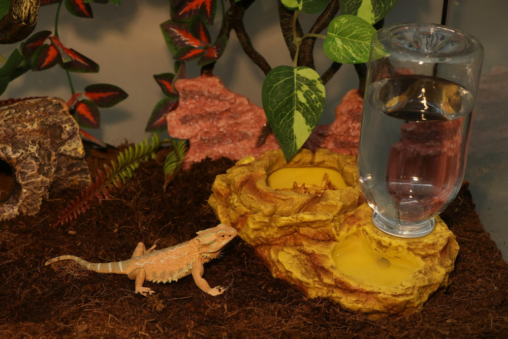 Récipient d’eau AQUA KT 2-en-1, hydratation simple pour reptiles.