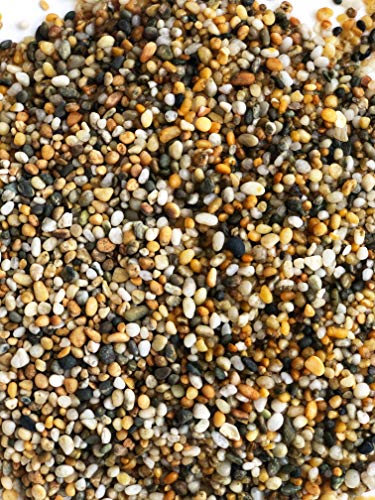 Aqua Natural, galet doré 2-4mm, facile à nettoyer et triple lavé.