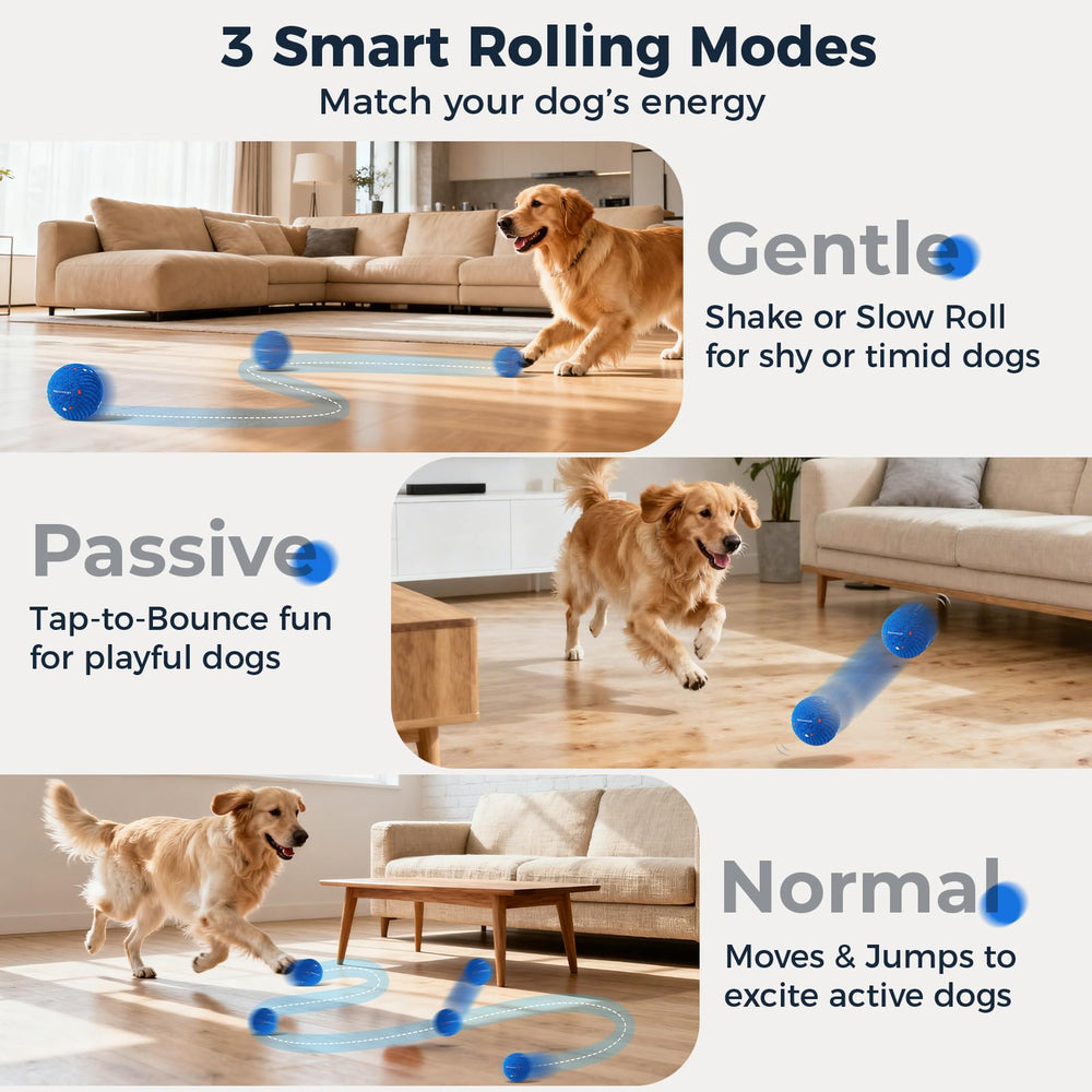 Aquamorph balle interactive mouvement automatique pour divertir chiens à l'intérieur comme dehors.