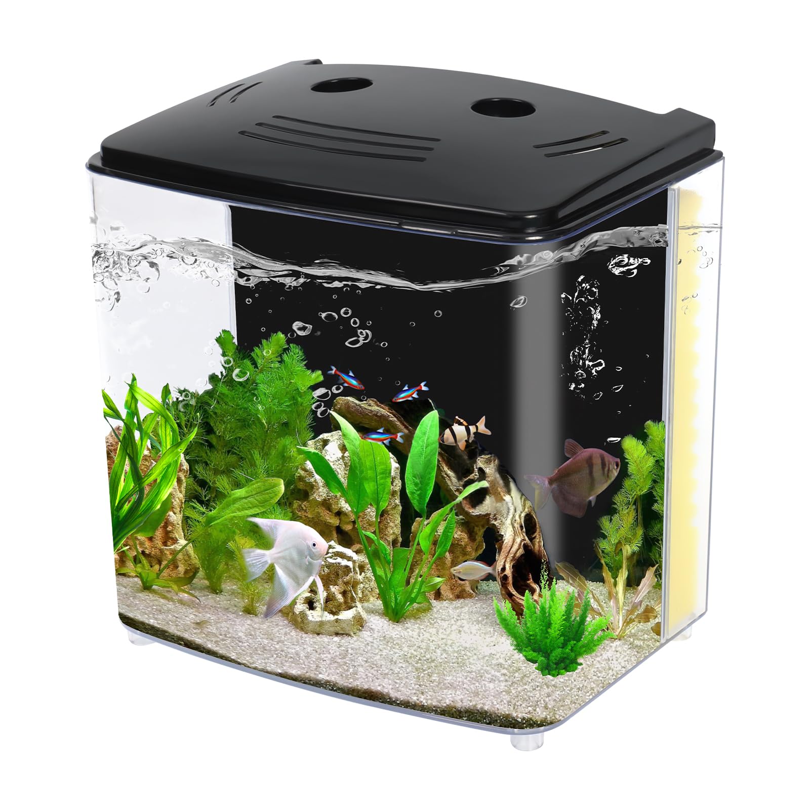 AQUANEAT bac aquarium rectangulaire 4,5 litres, parfait pour Betta et petit espace.