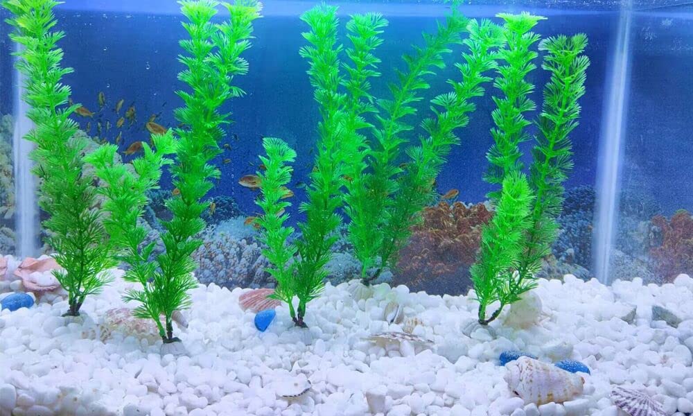 AQUANEAT – ensemble de 10 plantes pour aquarium, 10 pouces, décor naturel et coloré.