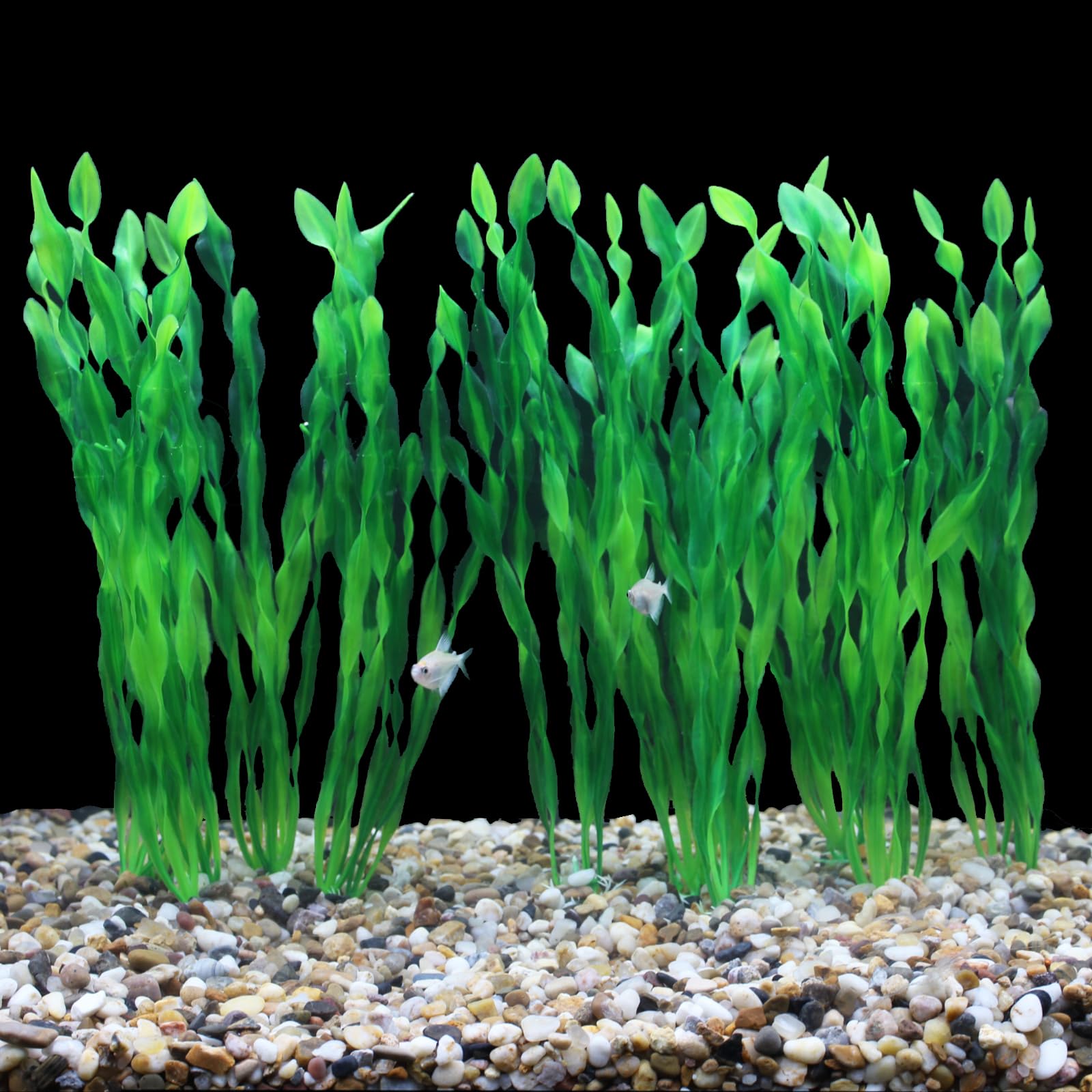AQUANEAT – lot de 10 plantes pour composer un décor varié et dense