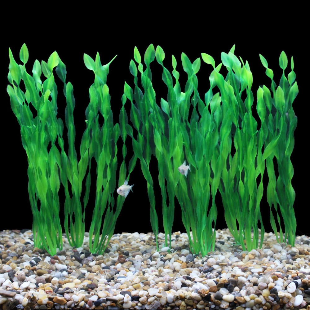 AQUANEAT – lot de 10 plantes pour composer un décor varié et dense