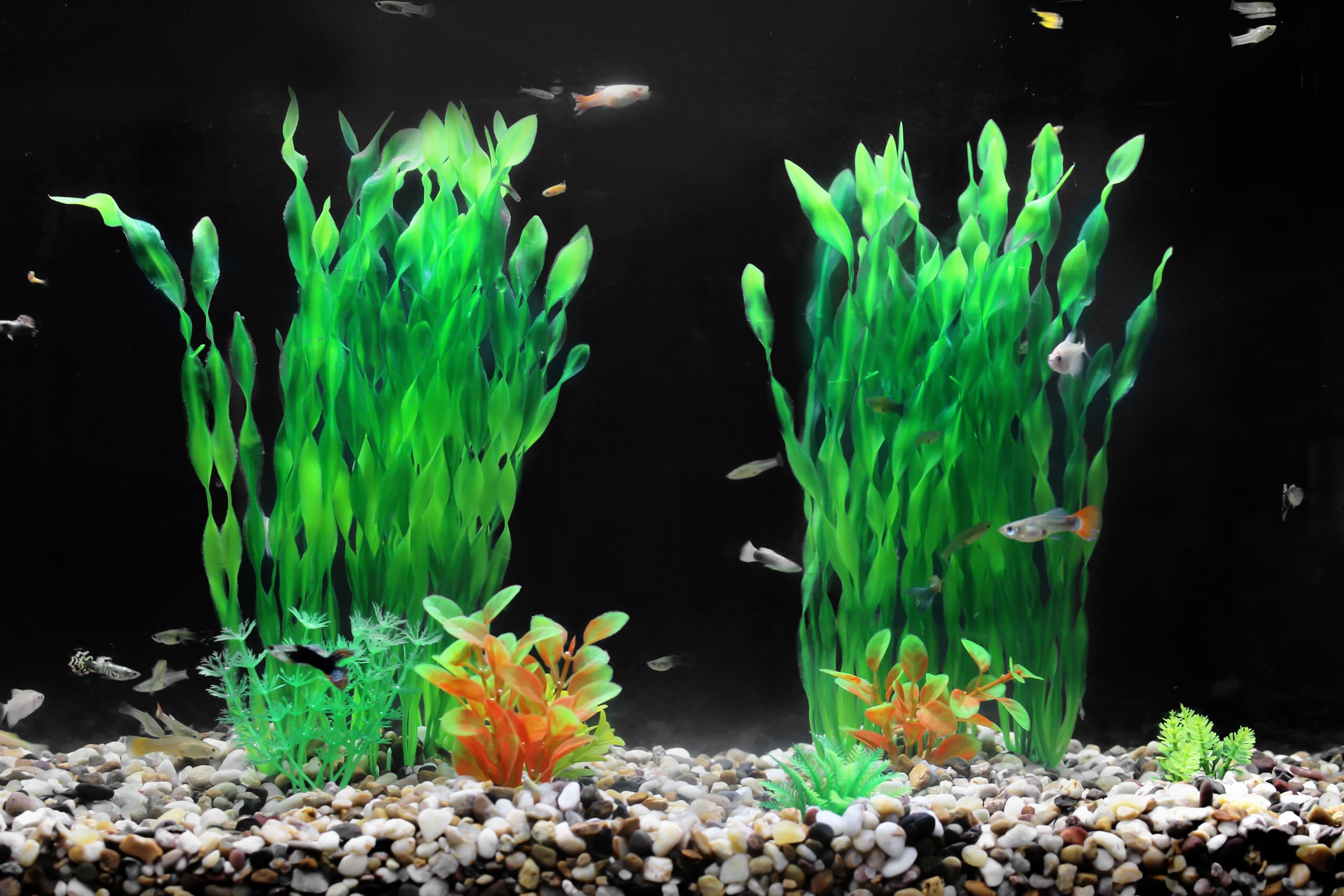 AQUANEAT – idéal pour réservoirs de 75 litres et plus, ajout rapide et sûr